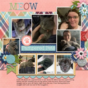 Pampered Pets