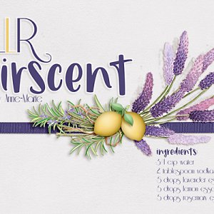 Label for home made Air freshner