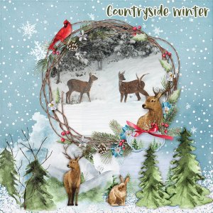 Countryside-winter