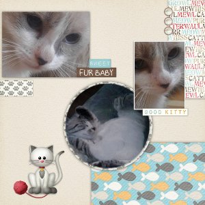Furbabies