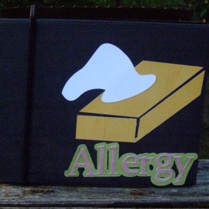 Recycled box project 1