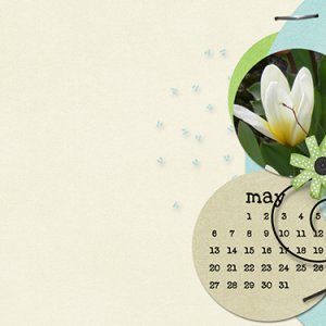 2012_HeleneMayDesk