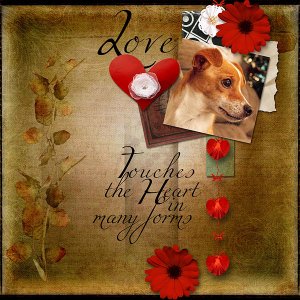 Love Touches the Heart