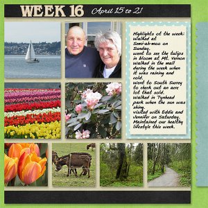 2012_Week_16