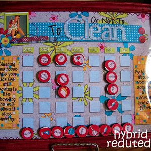 Cleaning Board