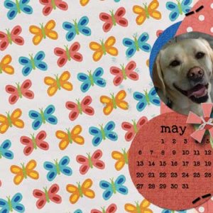gs-April-Desktop-Challenge