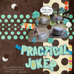 Practical Joker