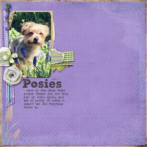 071-04-12-PosiesByCFALBRO