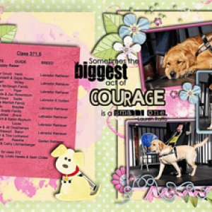 Act of Courage