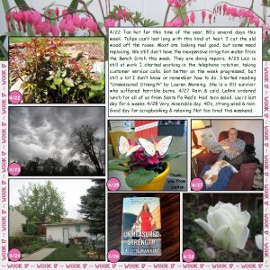 2012 52 Week 17