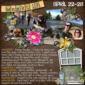 2012 - Week 17