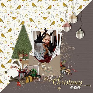 Christmas Day RHS