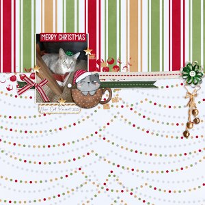 Cat Present