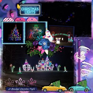 Hines Drive Lightfest