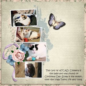 The Cats of ATCAD