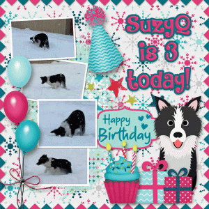 Happy Birthday SuzyQ!