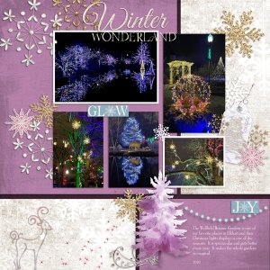 Winter Wonderland Wellfield Christmas 2020- 2