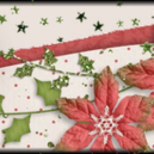 Signature December