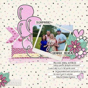 Baby Reveal!