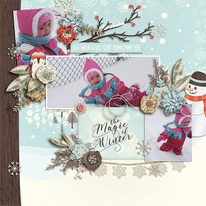 the magic of winter
