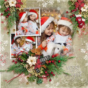 merry + bright