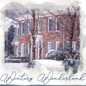 Winter Wonderland