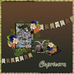 capricorn