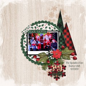 Christmas Wish