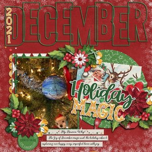 2021 December Daily