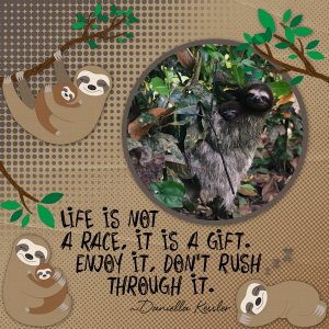 Don't Rush