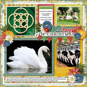 12 DAYS OF CHRISTMAS