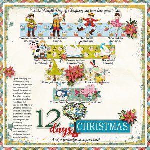 12 DAYS OF CHRISTMAS