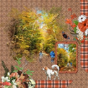 Walk in the Woods