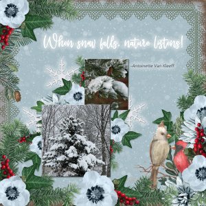 When snow falls nature listens!