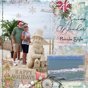 Snowy Wonder Florida Style