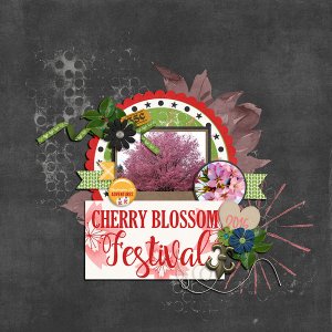 Cherry Blossom Festival