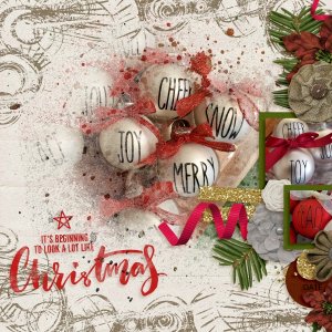 Ornaments from 2020