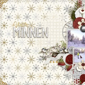 Winter Memories