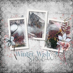 Winter Wish Snow