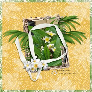 Frangipani