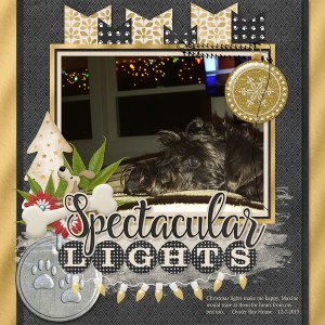 Holiday Dazzle Pampered Pets
