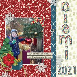 Christmas at Niemi