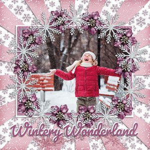 Wintery Wonderland