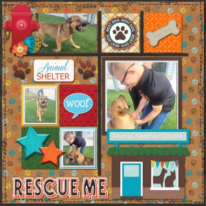 Rescue Me