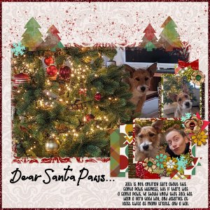 Dear Santa Paws