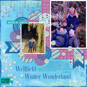 Wellfield Winter Wonderland 2021