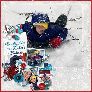 Eli-sledding