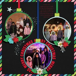 Zoo Lights