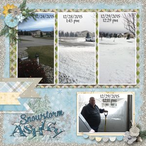 Snowstorm Ashley Left