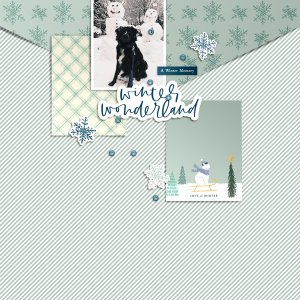 winter wonderland